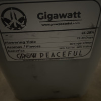 Gigawatt Grow #1