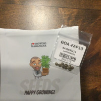 Gorilla Auto (GOA)